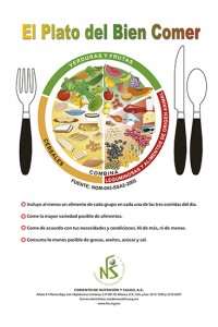cartel y Guía El Plato del bien comer.indd