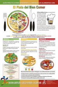 cartel y Guía El Plato del bien comer.indd