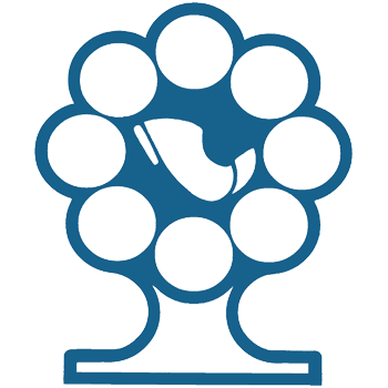 FUNSALUD logo