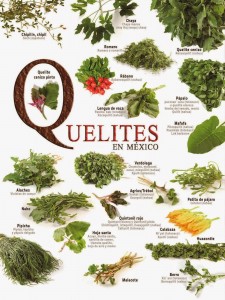 Quelites-en-Mexico